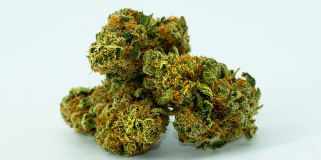 green and brown kush on white surface