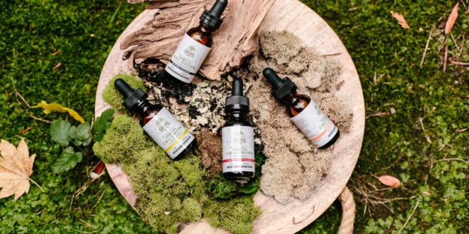 Natural CBD oil bottles with droppers on a wooden board surrounded by moss and leaves.